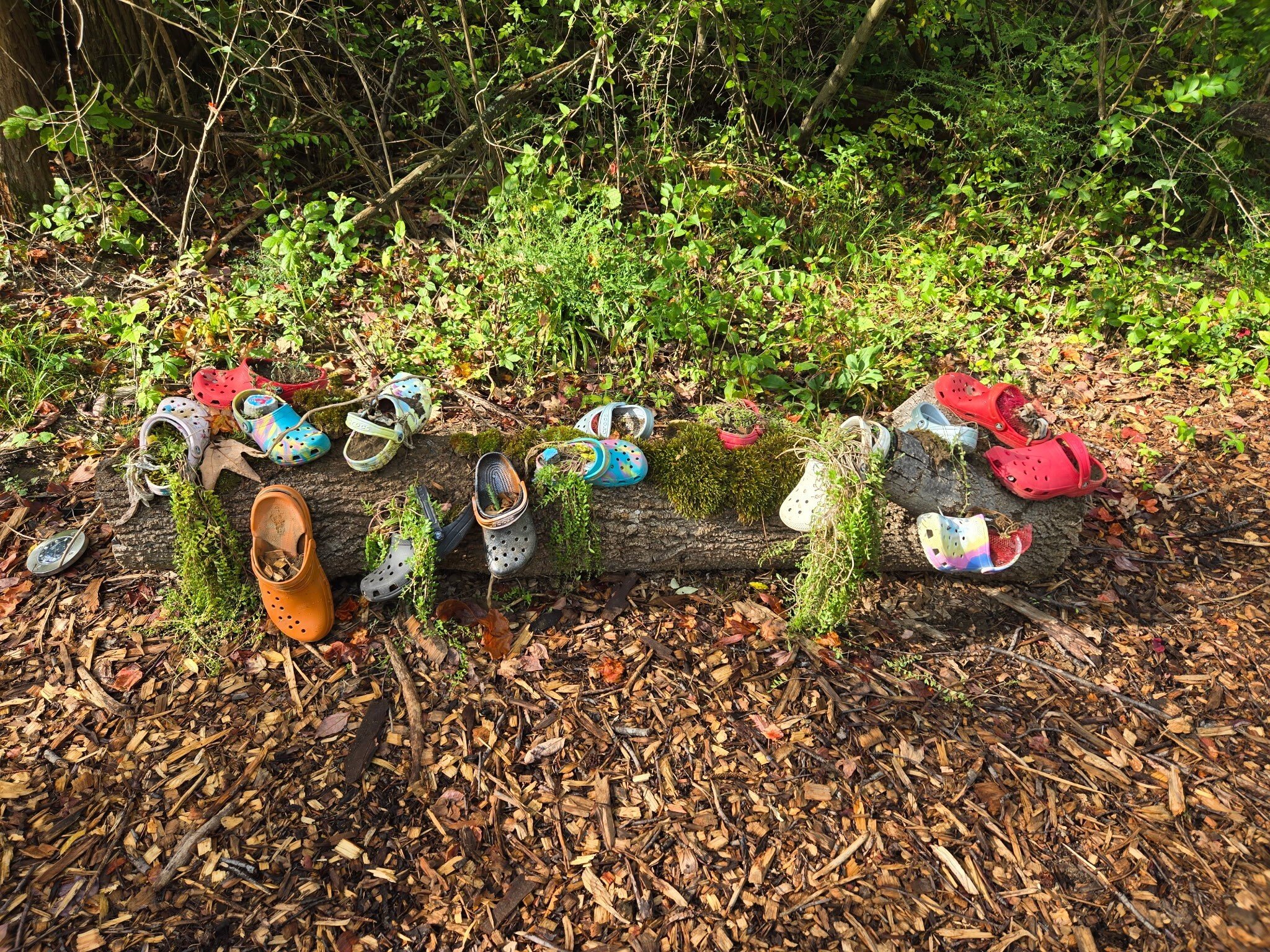 Tara Impact Page Garden 3